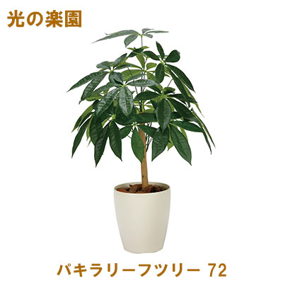 ●光の楽園 (2345A100-58) パキラリーフツリー 72 送料無料 95107 9,225円
