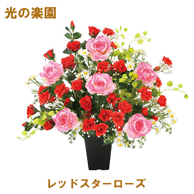 ●光の楽園 (2372A150-88) レッドスターローズ 送料無料 95138の通販は