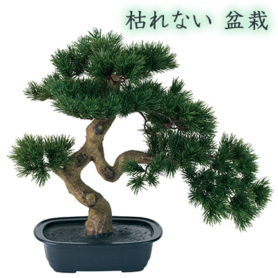 ● 枯れない 盆栽 (FZ000780) 造花 人工 観葉植物 フェイクグリーン 送料無料 94268の通販は 14,080円