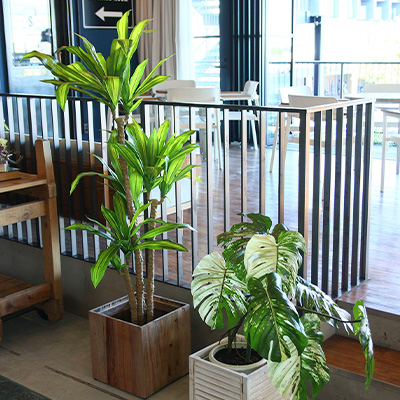 ● マッサンポット 1.5m (glp-1543p) 造花 人工 観葉植物 フェイクグリーン 送料無料 94282_3