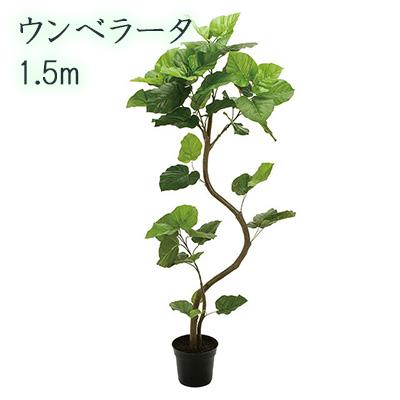 ● ウンベラータ 1.5m (fg5229) 造花 人工 観葉植物 フェイクグリーン 送料無料 94288の通販は 32,623円