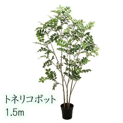 ● トネリコポット 1.5m (FG30197) 造花 人工 観葉植物 フェイクグリーン 送料無料 94289の通販は