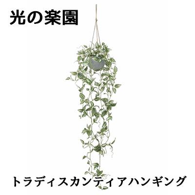 ● 光の楽園 (2596A80) トラディス カンティア ハンギング 造花 人工 観葉植物 フェイクグリーン光触媒 送料無料 94302