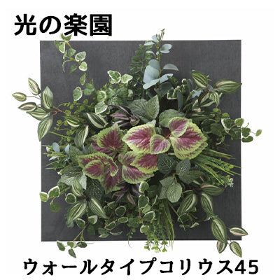 光触媒　人工観葉植物　ウォールグリーン　フェイクグリーン　コリウス1.1 コリウス人工観葉植物 フェイクグリーン 光触媒 人工観葉植物 ウォール