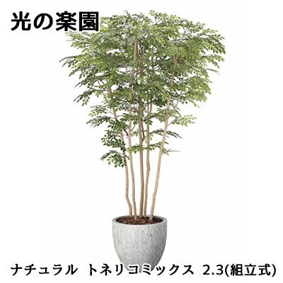 光触媒　人工観葉植物　フェイクグリーン　ナチュラルトネリコミックス2.3 光触媒 光の楽園 ウッドボックスライトトネリコ1.0m【インテリア