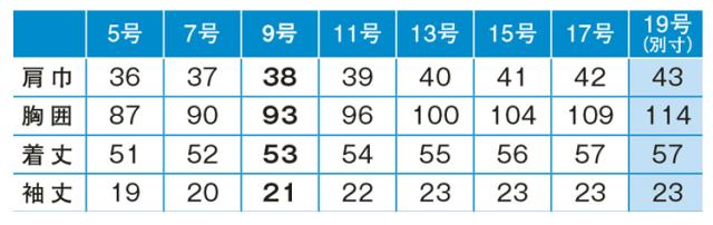 エンジョイ ENJOY オーバーブラウス ESA738 大きいサイズ19号 カーシー