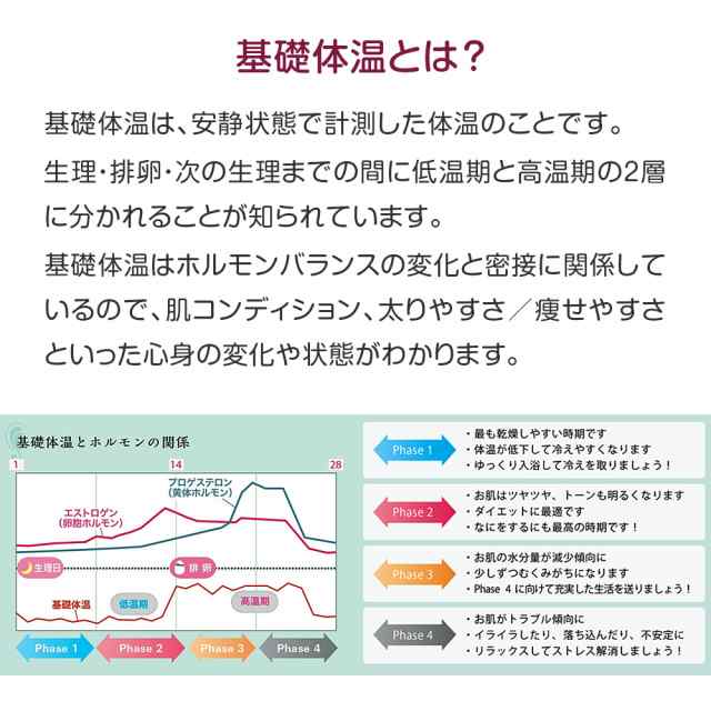 送料無料】日本製 TDK 婦人用 電子体温計 HT-301 婦人体温計