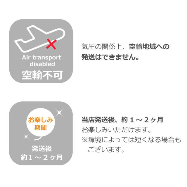 バルーン アレンジ シャンパン付 結婚式 電報 プレゼント ギフト スパークリング ワイン お祝い ルチア バルーン