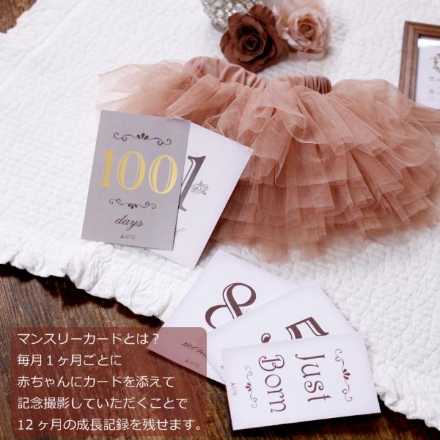 出産祝い 月齢カード 記念日 ハーフバースデー おしゃれ 女の子 誕生日 100日 ベビーマンスリーカード アンティーク の通販はau Pay マーケット おむつケーキの店ベビーアルテ