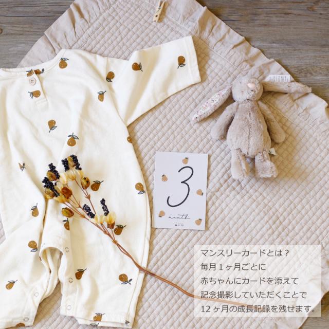 出産祝い 月齢カード 記念日 マンスリーカード ベビー 男の子 女の子 月齢フォト 誕生日 100日 ベビーマンスリーカード の通販はau Pay マーケット おむつケーキの店ベビーアルテ