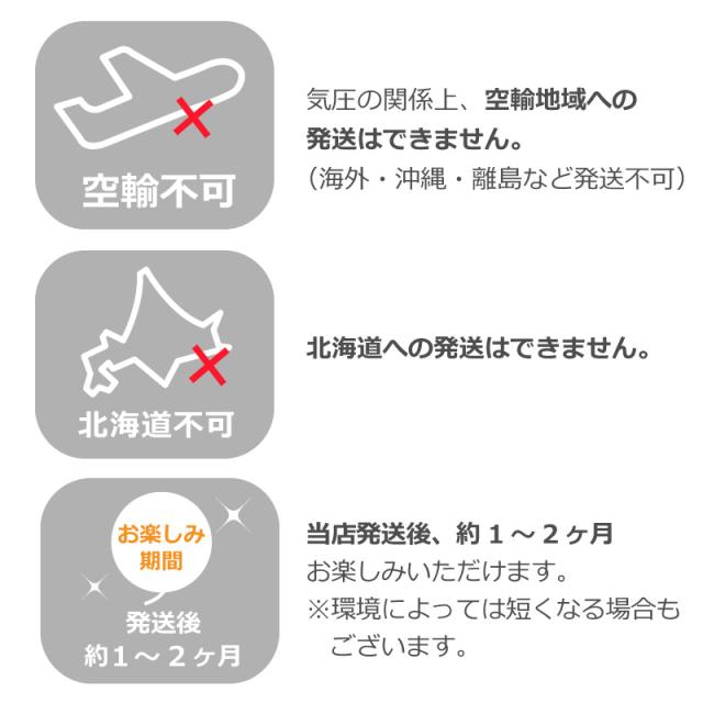 花束 バルーン 母の日 ミッフィー ぬいぐるみ ギフト フラワーブーケ バルーンブーケ 卒業式 入学 合格祝 成人祝 結婚祝_17