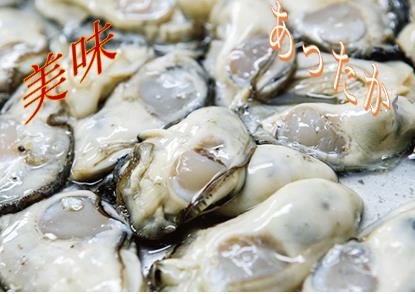予約受付開始【冬の味覚、美味しい新商品】産地直送、広島牡蠣(生食用(1~2人用) むき身 500g)【ポイント消化にどうぞ】贈り物にもお勧めです。【代引き発送不可】オフィスに工場に職人さんにDIY女子に