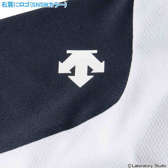 デサント 野球 ユニフォーム シャツ ベースボールシャツ DESCENTE DB-115の通販はau PAY マーケット - Sportsman.jp  Wowma!店