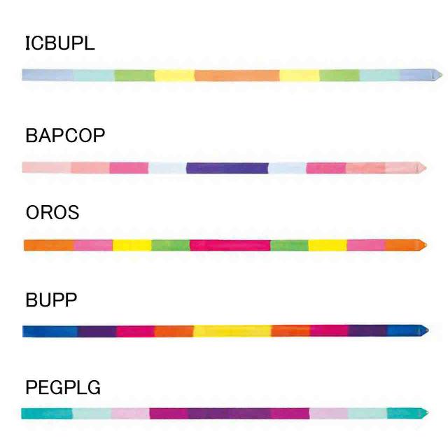 ササキスポーツ 体操 新体操 リボン スティック マルチカラーリボン 5m Sasaki Mj 715mc Fの通販はau Pay マーケット Sportsman Jp Wowma 店