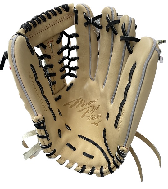 ローリングス Rawlings 専用グラブ袋付き PRO PREFERRED Wizard