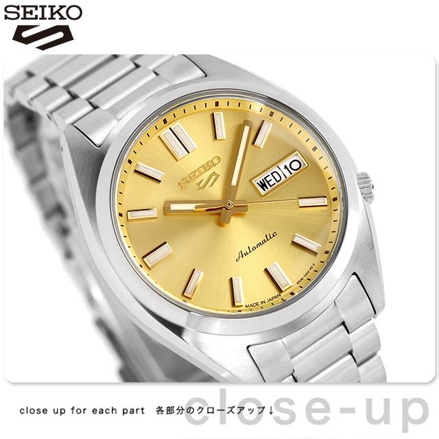 210cm,早い収穫＝準親株 至福の糖度☆マッサンバナナ☆バナナ 低木