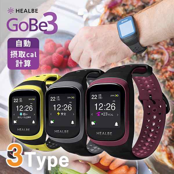 モール福祉 HEALBE GoBe3 ゴービー3 スマートウォッチ ヒルビー