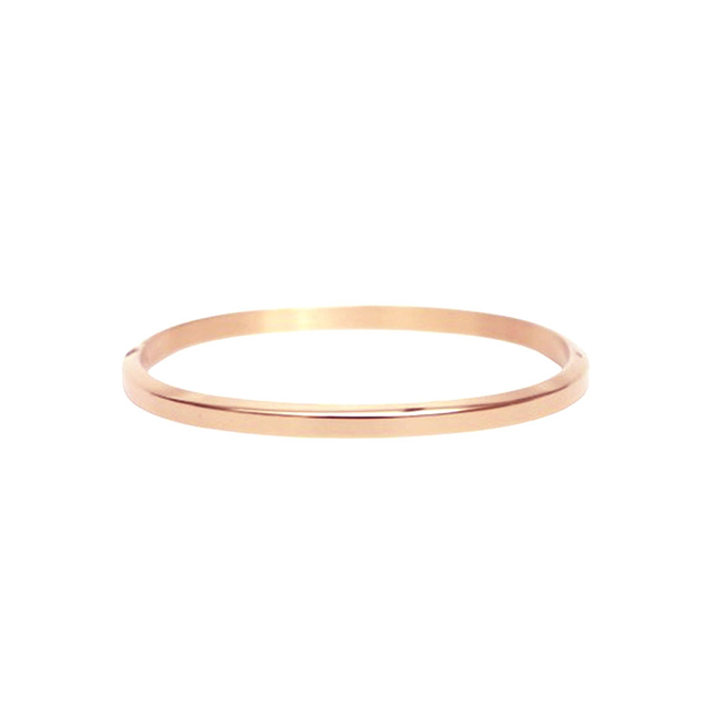ダニエルウェリントン DANIEL WELLINGTON CLASSIC BANGLE バングル DW00401654 ユニセックス ブランド_2