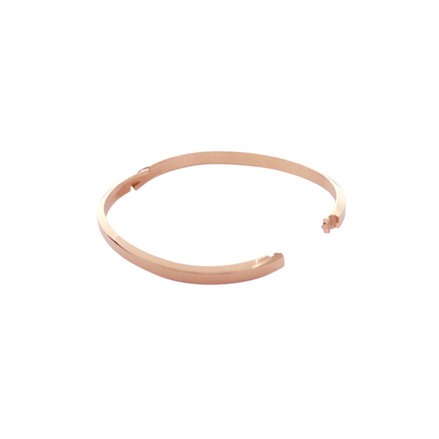 ダニエルウェリントン DANIEL WELLINGTON CLASSIC BANGLE バングル DW00401654 ユニセックス ブランド_3