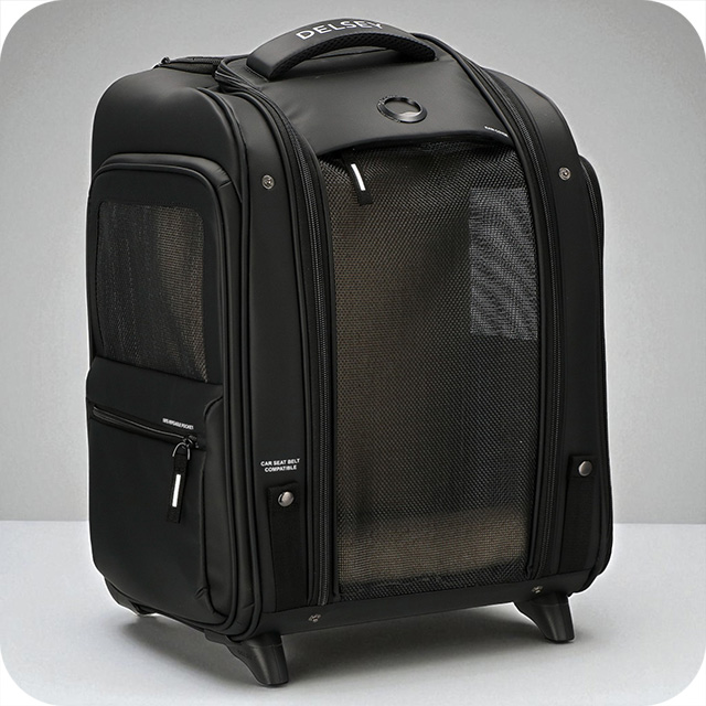 デルセー キャリーケース メンズ レディース ブランド DELSEY 00328917000 ブラック