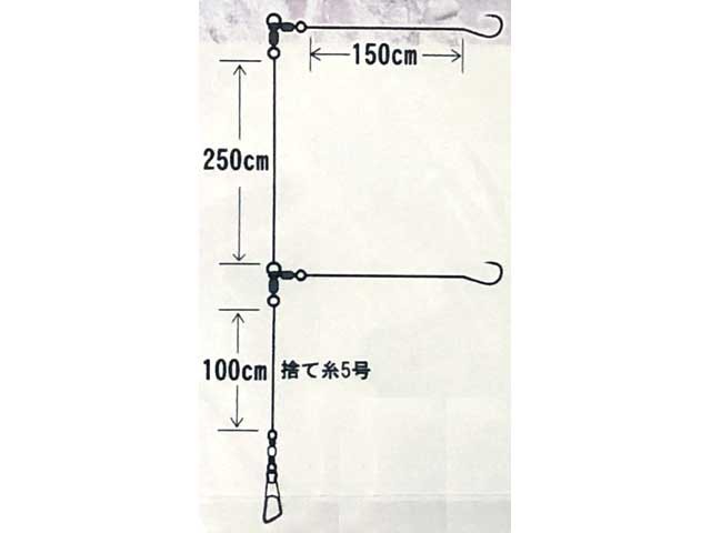 ハヤブサ Mty101 伊勢湾 ウタセ ワラサ ブリ 胴突２本鈎 １５０ｃｍハリス ハリ １３号 ハリス １０号 幹糸 １２号の通販はau Pay マーケット 釣り具の通販 つり具 ｔｅｎ