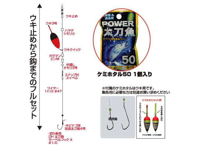 仕掛け 太刀魚 ウキ 釣り