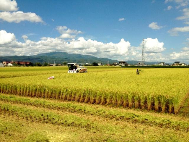 【玄米】【送料無料】 産地生産者限定 令和７年産 山形県産特別栽培 つや姫 １等 玄米 ３０kg_4