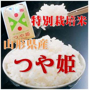 【玄米】【送料無料】 産地生産者限定 令和６年産 山形県産特別栽培 つや姫 １等 玄米 ３０kgの通販は