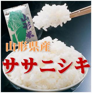 超貴重品 【精米・送料無料】令和７年産 山形県産 ササニシキ １等 玄米 ３０kg