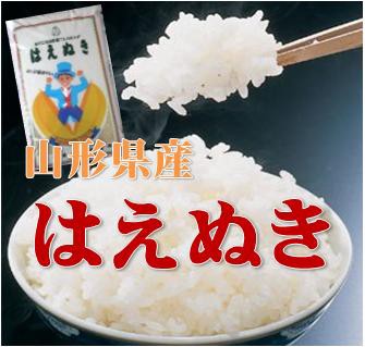 【送料込み】令和６年産 山形県産 はえぬき 白米 ３０kg（１０kg×３）