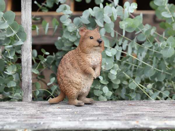 ペットバンク クアッカ 貯金箱 置物 オブジェ 動物 かわいい おしゃれ インテリアの通販はau Pay マーケット オリジ