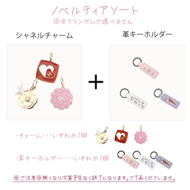 国内正規品 公式ラッピング 】 シャネル ミラー CHANEL 手鏡