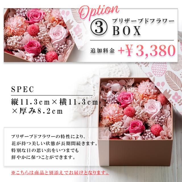 【新品】ジルスチュアート エターナル  BOX 長財布 ピンク ジル ピンク色 JILL STUART（ジルスチュアート） 【正規販売店】JILL STUART