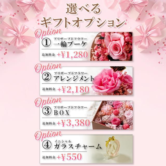 国内正規品 公式ショッピングバッグ 】ジルスチュアート 名刺入れ