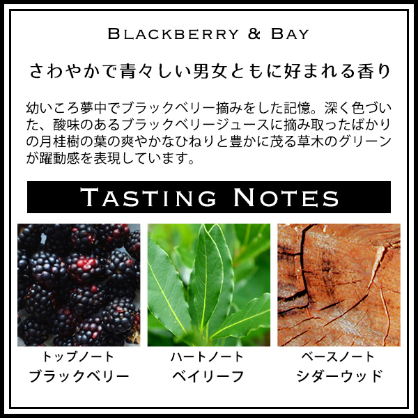 ジョーマローン JO MALONE ボディソープ ハンドウォッシュ ボディ&amp;ハンドウォッシュ 250ml ブランド ギフト プレゼント メンズ レディース 男女兼用_3
