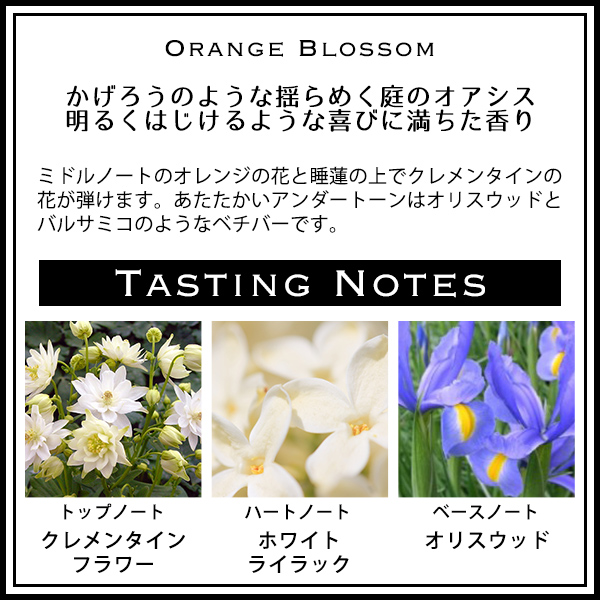 ジョーマローン JO MALONE ボディソープ ハンドウォッシュ ボディ&amp;ハンドウォッシュ 250ml ブランド ギフト プレゼント メンズ レディース 男女兼用_8