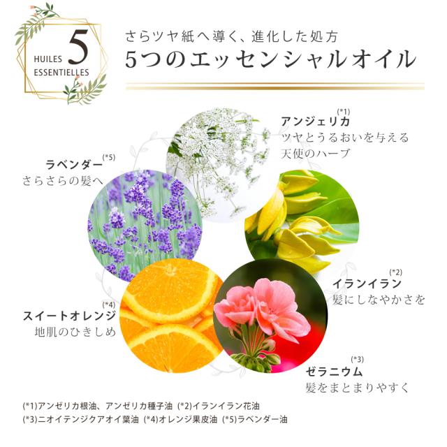 ロクシタン ヘアパック ファイブハーブス リペアリングヘアマスク 0ml 男性 女性 男女兼用 の通販はau Pay マーケット Corekara Style