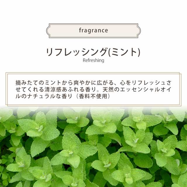 サボン 洗顔 フェイスポリッシャー スクラブ メンズ レディース