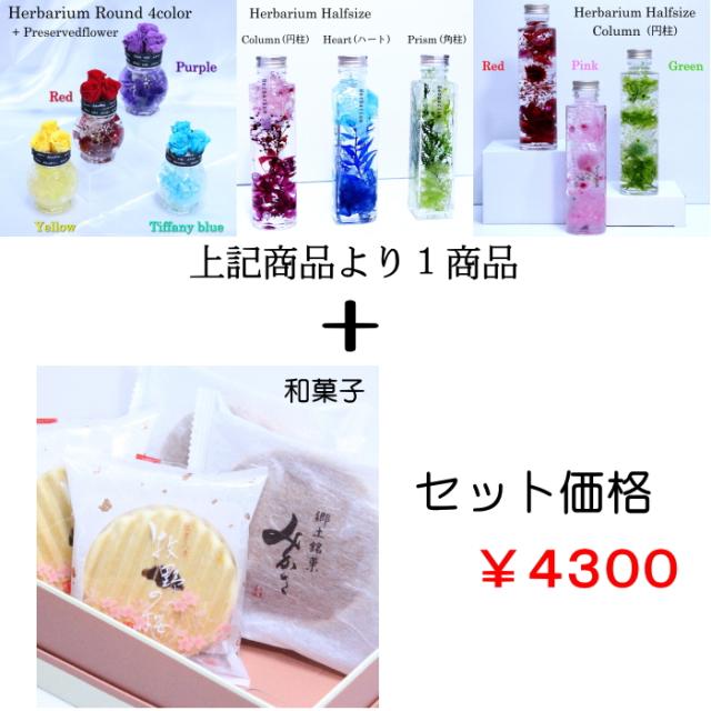 和菓子付 誕生日プレゼント 誕生日 プレゼント 誕生日のプレゼント Halfsize3type Halfsize3 プリ付round４ 和菓子 お花 和菓子セット 和の通販はau Pay マーケット 全品送料無料 フラワーアトリエ仁