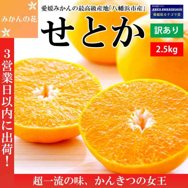 みかん 訳あり 2 5kg せとか 濃厚 甘い 高級 愛媛 ご家庭用 有名 人気 お取り寄せ 旬 3営業日以内に出荷の通販はau Pay マーケット みかんの花