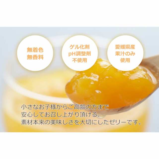 みかん寒天ゼリー オールスター食べ比べセット 170g×12本 全11種類 送料無料の通販はau PAY マーケット - みかんの花