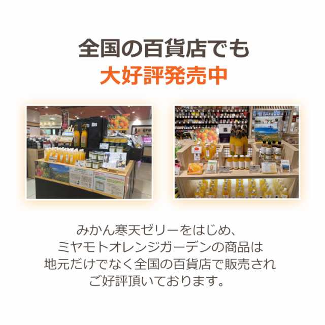 みかん寒天ゼリー オールスター食べ比べセット 170g×12本 全11種類 送料無料の通販はau PAY マーケット - みかんの花