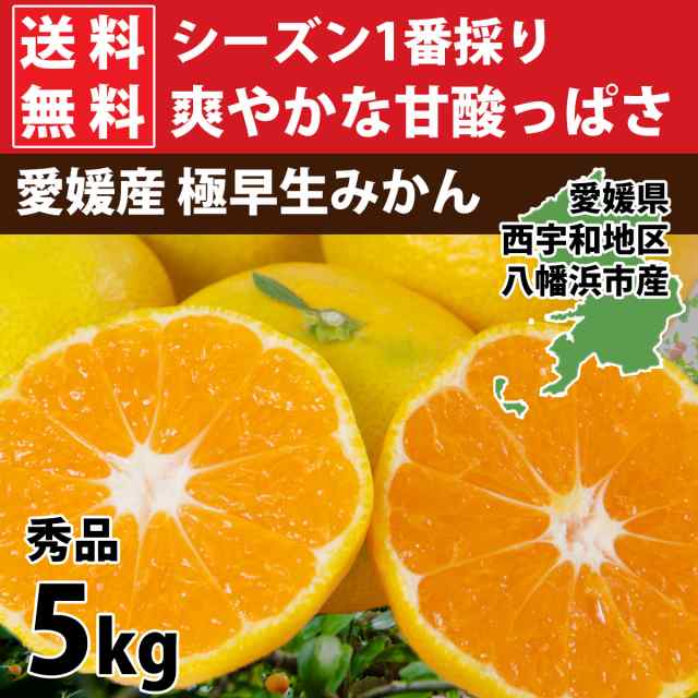 愛媛西宇和産 せとか 訳あり家庭用 ５ｋｇ 送料無料