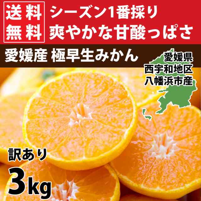 みかん 訳あり ご家庭用 3kg 愛媛県 西宇和地区八幡浜市産 極早生 2S〜3Lサイズ 15〜40玉前後入りの通販はau PAY マーケット  みかんの花 au PAY マーケット－通販サイト