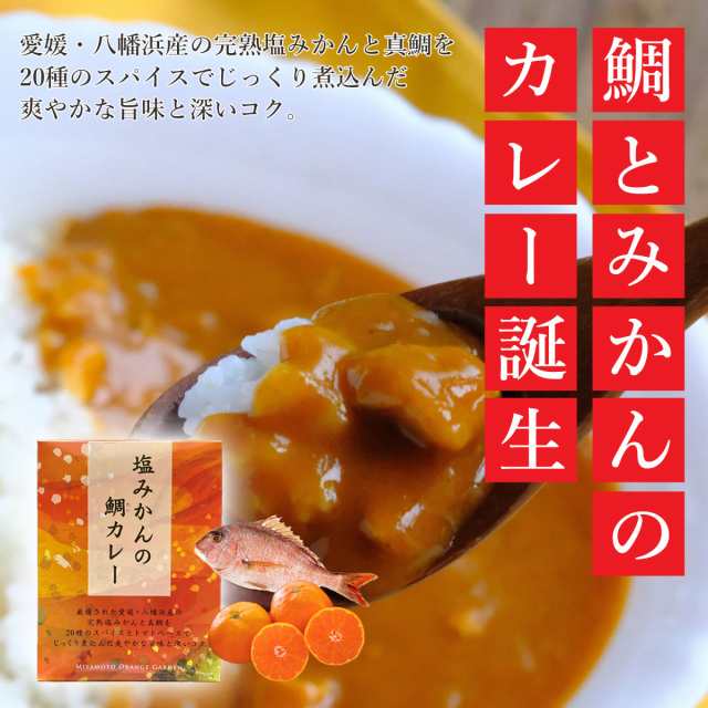 みかんの花　カレー　カレー　200g　マーケット　４箱セット　国産　レトルト　ギフト　マーケット－通販サイト　022504400401の通販はau　愛媛　非常食　PAY　みかん　1袋　鯛　レトルト　PAY　au