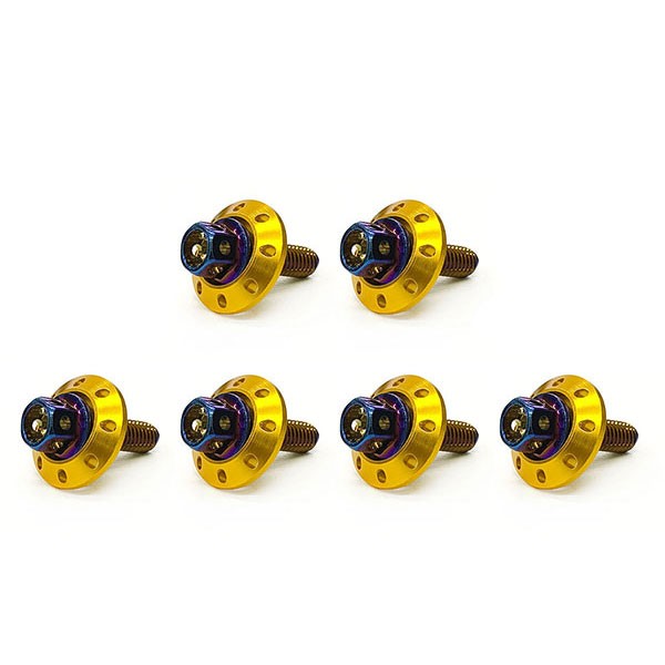 フランジ付六角ボルト M6×20mm P1.0 カラーワッシャー フジツボ 20×4mm 6個set 車 汎用 外装 カー用品 ポイント消化  送料無料の通販はau PAY マーケット - 楽ゴーゴー | au PAY マーケット－通販サイト