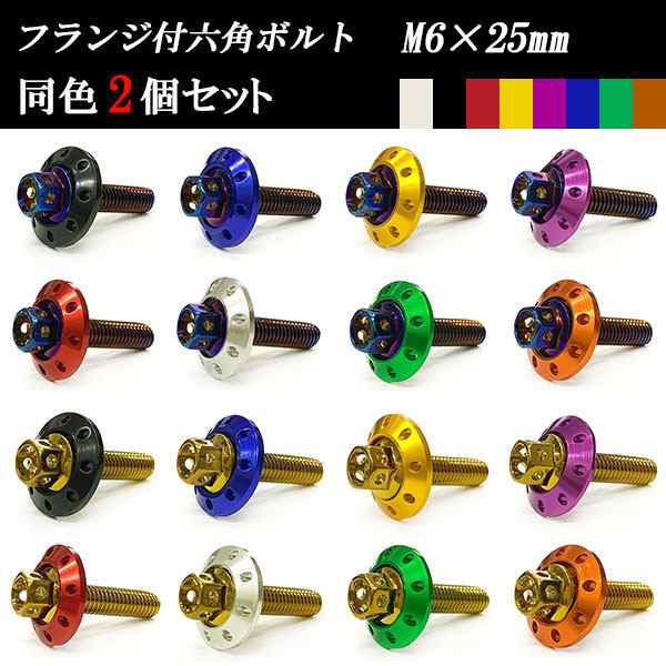 フランジ付六角ボルト M6×25mm P1.0 カラーワッシャー フジツボ 20×4mm 2個set 車 汎用 外装 カー用品 ポイント消化  送料無料の通販はau PAY マーケット - 楽ゴーゴー | au PAY マーケット－通販サイト