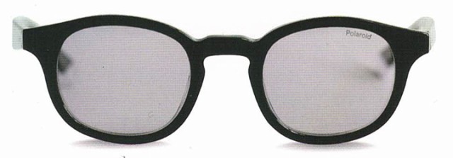 Polaroid SUNGLASS  [ PLD 2103 /S/X @15000]  Polarized 偏光レンズ サングラス 【正規代理店商品】の通販は