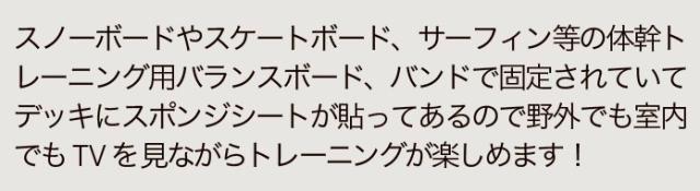 TORQREX SNOWBOARDS [ バランス トレーニング ボード @14300] トルク
