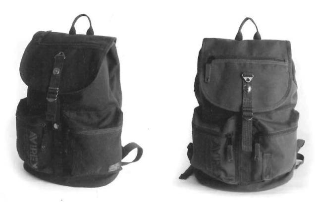 AVIREX EAGLE [ AVX3531 EAGLE FLAP RYUCK @11500] アビレックス イーグル フラップ リュック 【正規代理店商品】